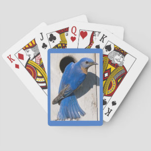 Jeu De Cartes Magnifique Oiseau Bleu Gros Caractères