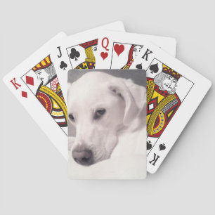 Jeu De Cartes Magnifique Regal White Labrador Mix Chien Grey Pla