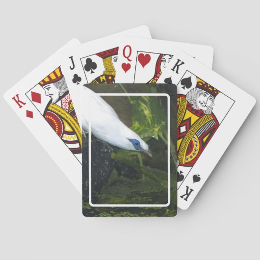 Jeu De Cartes Mainate de Bali (dos)