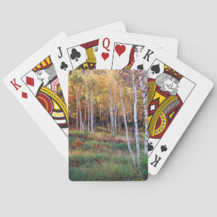 Jeu De Cartes Maine, Parc national d'Acadia, Automne