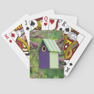 Jeu De Cartes Maison d'oiseau sur un arbre Redbud