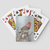 Jeu De Cartes Maison Finch en Neige - Photo originale (dos)