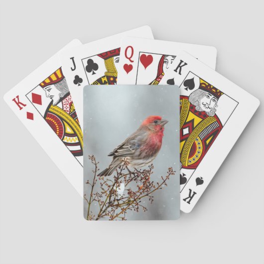 Jeu De Cartes Maison Finch en Neige - Photo originale (dos)