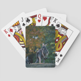 Jeu De Cartes Majestic Kangaroo