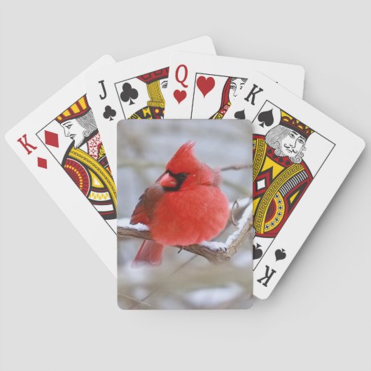 Jeu De Cartes Make_Cardinal_Cards (dos)