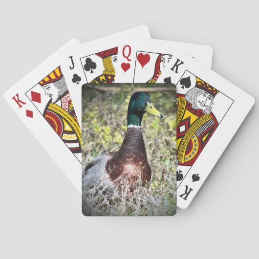 Jeu De Cartes Mallard (dos)