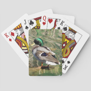 Jeu De Cartes Mallard Duck Jouer aux cartes