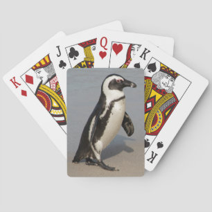 Jeu De Cartes Manchot africain en marche