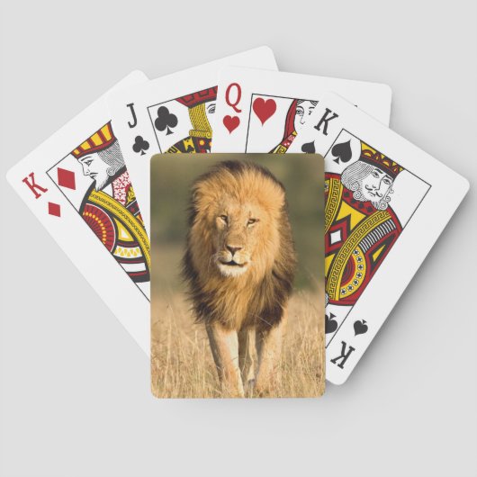 Jeu De Cartes Marche masculine de lion (dos)