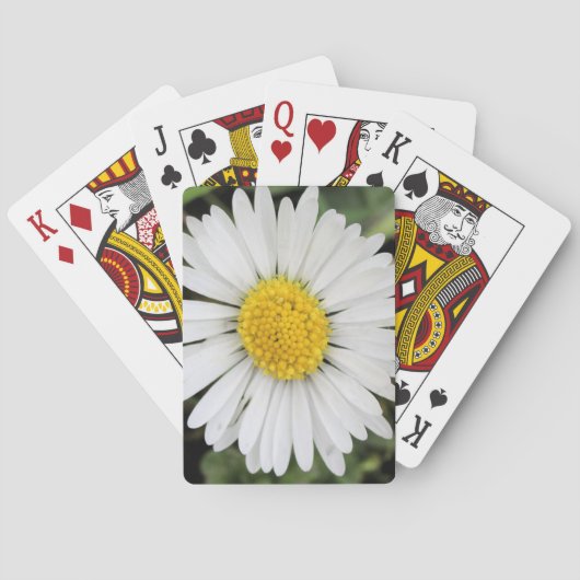 Jeu De Cartes Marguerite (dos)