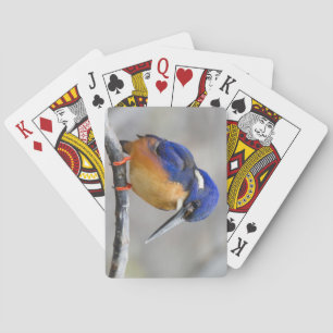 Jeu De Cartes Martin-pêcheur mignon et coloré ou oiseau d'Alcedi