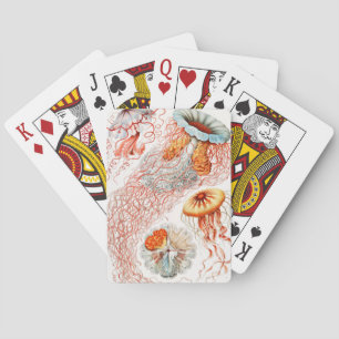 Jeu De Cartes Méduse, Discomedusae par Ernst Haeckel