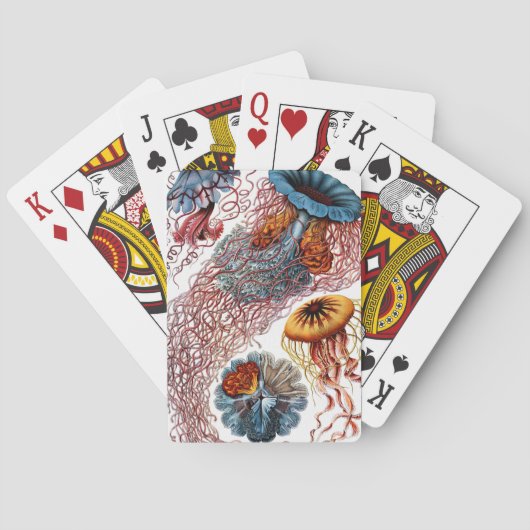 Jeu De Cartes Méduses par Ernst Haeckel (dos)