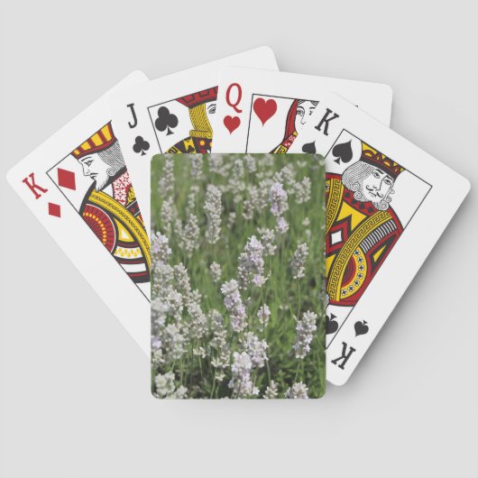 Jeu De Cartes Melissa Lavender Playing Cards (dos)