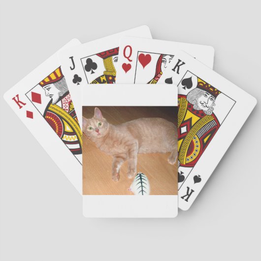 JEU DE CARTES MEOW (dos)