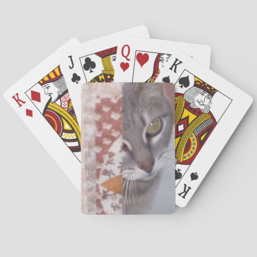 Jeu De Cartes Meow Cats 13 Playing Cards (dos)