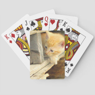 Jeu De Cartes Meow Cats 1 Cartes de lecture