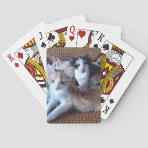 Jeu De Cartes Meow Cats 21 Playing Cards