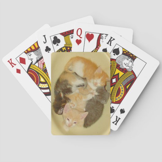 Jeu De Cartes Meow Cats 4 Cartes De Jeu (dos)