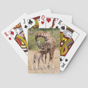Jeu De Cartes Mère girafe et bébé au Kenya