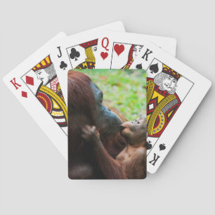 Jeu De Cartes Mère orang-outan et bébé