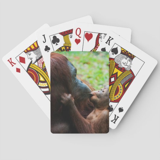 Jeu De Cartes Mère orang-outan et bébé (dos)