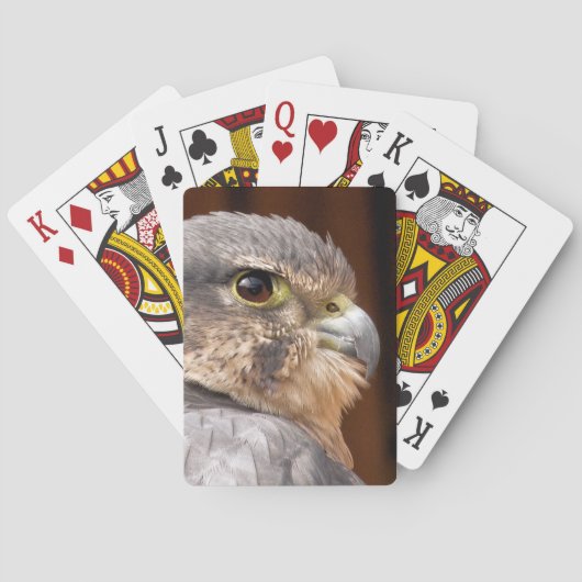 JEU DE CARTES MERLIN FALCON OISEAU DE PREY (dos)