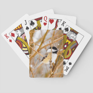 Jeu De Cartes Mésange à tête noire - Photographie originale