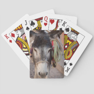 Jeu De Cartes Mexique, San Miguel De Allende 2