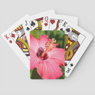 Jeu De Cartes Michigan, Dearborn. Détail de l'Hibiscus rose