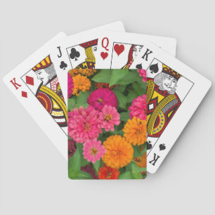 Jeu De Cartes Michigan, Dearborn, Greenfield Village. Gros plan