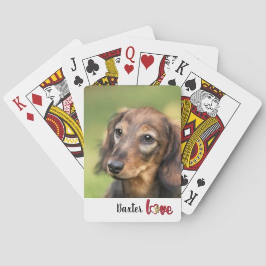 Jeu De Cartes Migrez votre chien photo (dos)