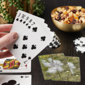 Jeu De Cartes Milkweed | Papillon | (In Situ)