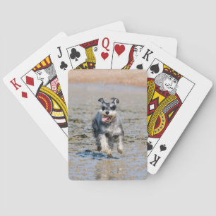 Jeu De Cartes mini schnauzer-fonctionnement