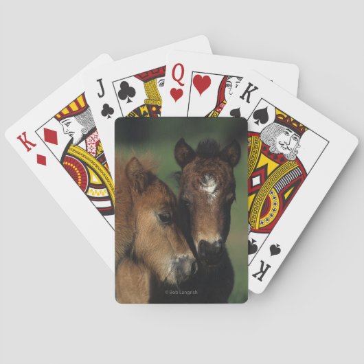 Jeu De Cartes Miniature Foals 2 (dos)
