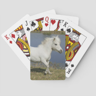 Jeu De Cartes Miniature Horse Running Near Water