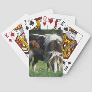 Jeu De Cartes Miniature Mare & Foals 2