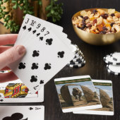 Jeu De Cartes Mirror’s Last Stand (In Situ)