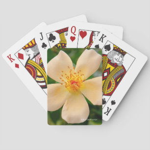 Jeu De Cartes Mme Oakley Fisher Rose
