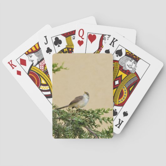 Jeu De Cartes Moineau (dos)