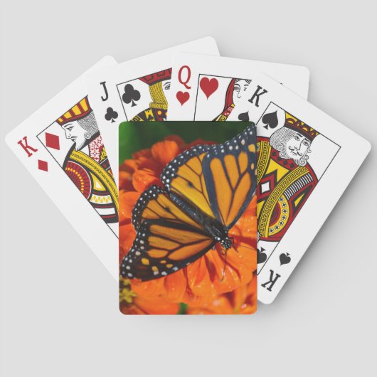 Jeu De Cartes Monarque (dos)