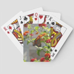 Jeu De Cartes Monarque papillon sur Buddleia rouge