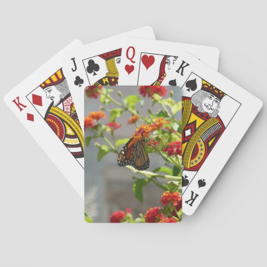 Jeu De Cartes Monarque papillon sur Buddleia rouge (dos)