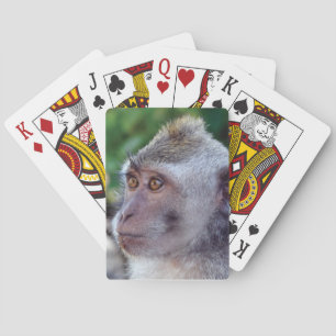 Jeu De Cartes Monkey