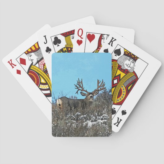 Jeu De Cartes Monster mule deer buck (dos)