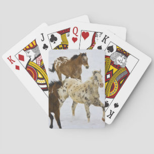 Jeu De Cartes Montagnes Big Horn, Chevaux courant dans la neige