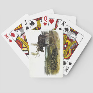 Jeu De Cartes Moose Deer (Moose - Alces alces) par Audubon