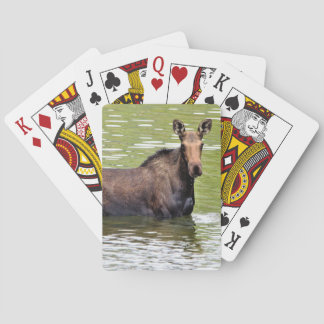 Jeu De Cartes Moose majestueuse