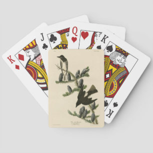 Jeu De Cartes Moucherolle à face olive, les oiseaux d'Amérique d