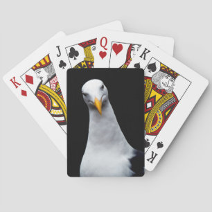 Jeu De Cartes Mouette